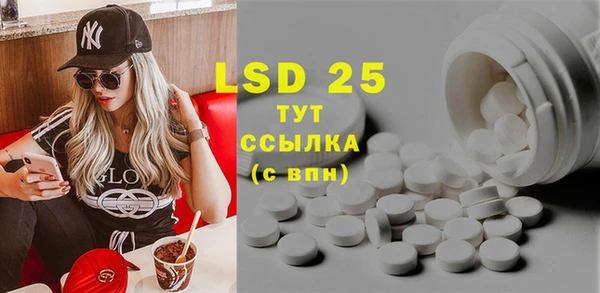 индика Алексин