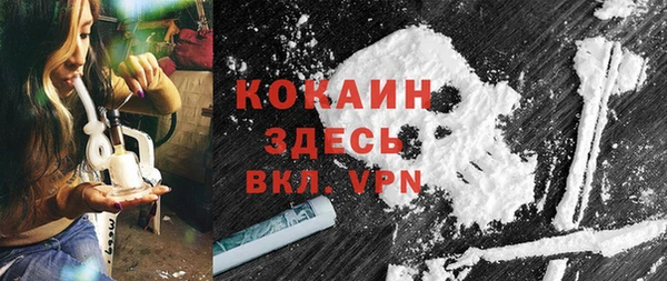 индика Алексин