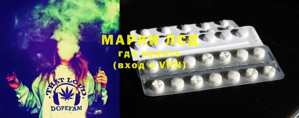 прущие грибы Алексеевка