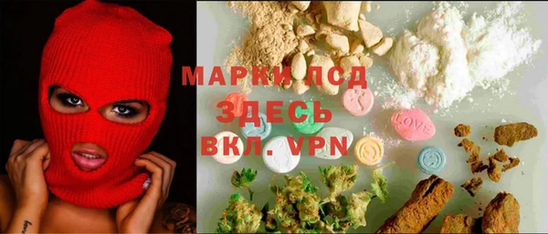 индика Алексин