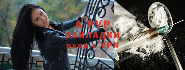 индика Алексин