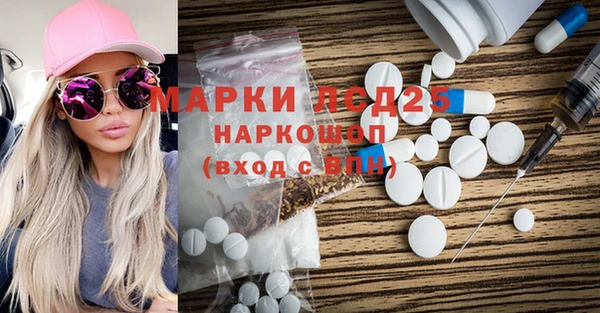 прущие грибы Алексеевка