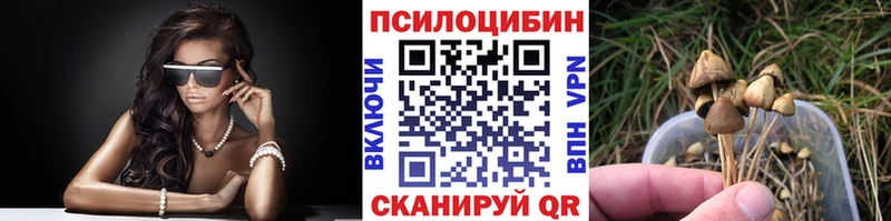 Галлюциногенные грибы Cubensis  Удомля 